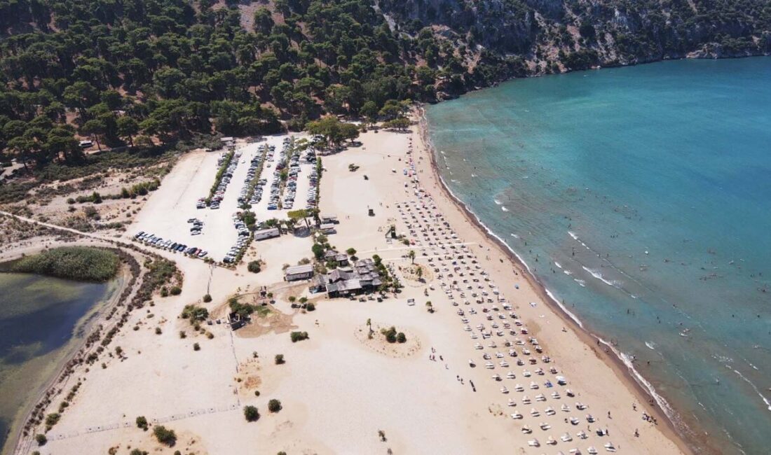 - Muğla'da Deniz Kaplumbağası Araştırma Kurtarma Rehabilitasyon Merkezi'ndeki tedavisinin ardından
