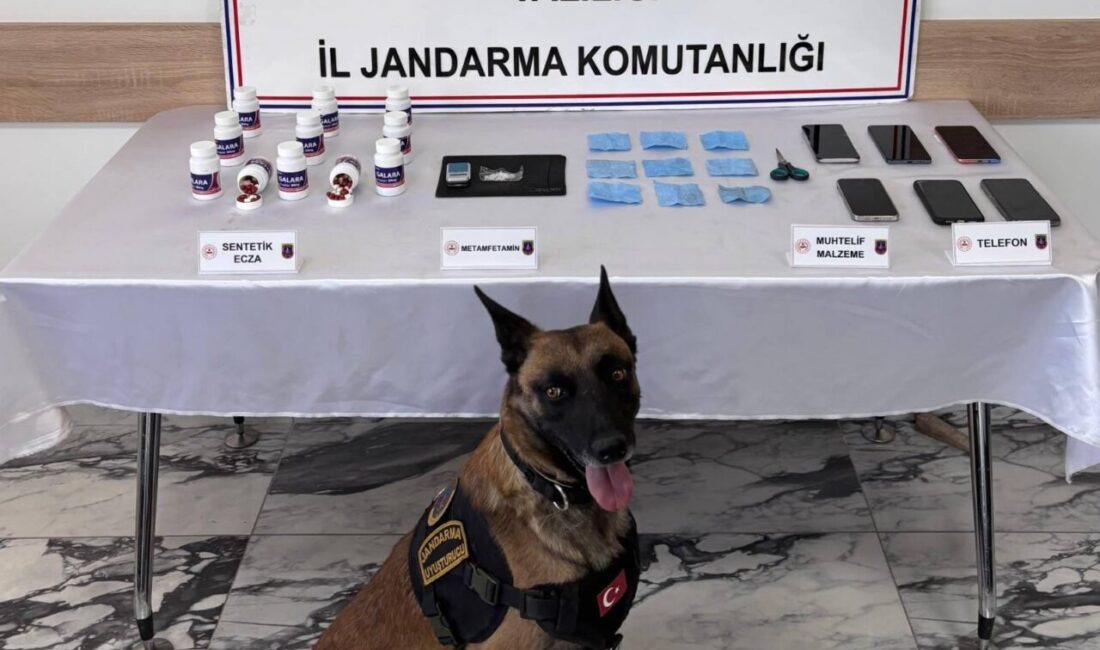 AFYONKARAHİSAR (AA) – Afyonkarahisar'da düzenlenen uyuşturucu operasyonunda gözaltına alınan 4