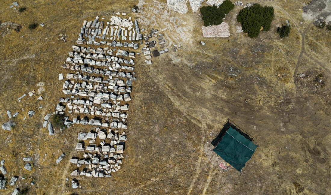 - Blaundos Antik Kenti Kazı Başkanı ve Uşak Müzesi Müdürü