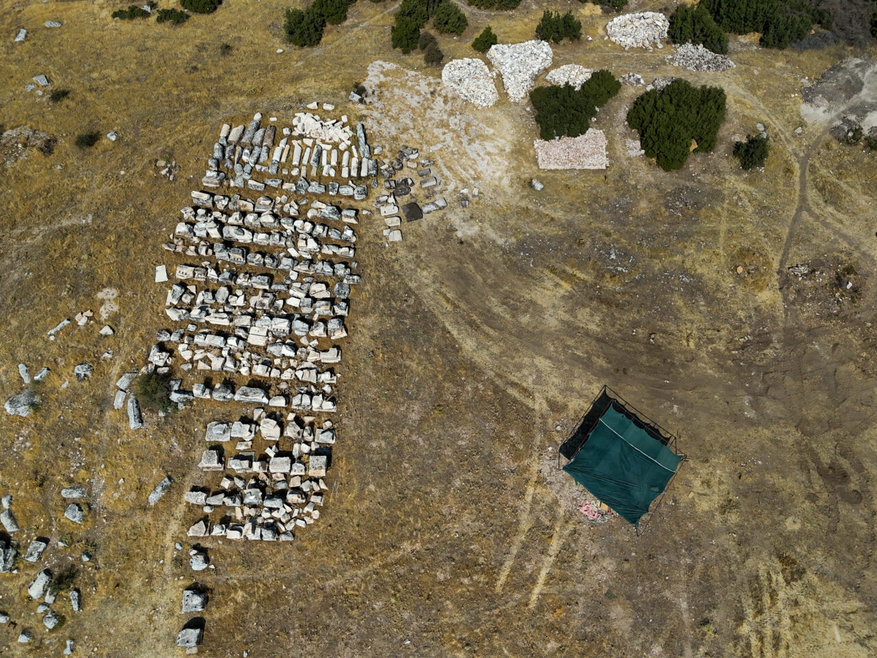 - Blaundos Antik Kenti Kazı Başkanı ve Uşak Müzesi Müdürü