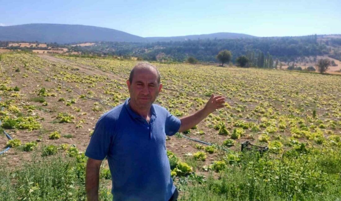 Kütahya’nın Domaniç ilçesinde çiftçiler, Çukurca Göleti sulama sistemindeki arızalar nedeniyle