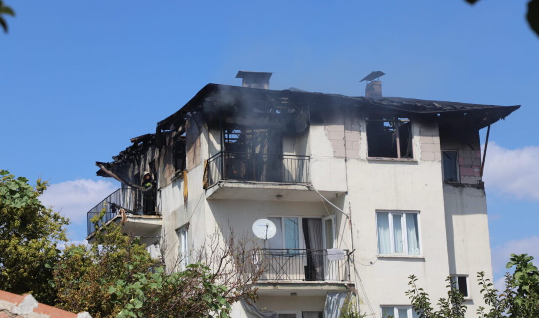 DENİZLİ (AA) – Denizli'nin Pamukkale ilçesinde bir apartman dairesinde çıkan
