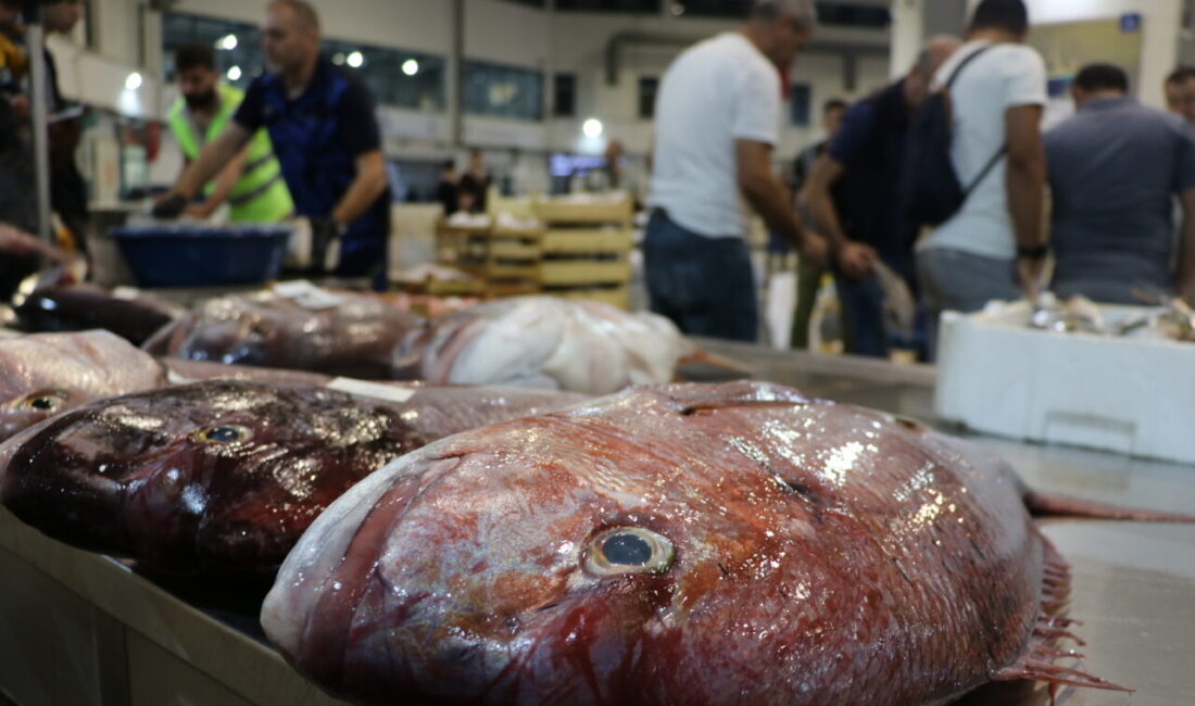 - İzmir Ticaret Odası tarafından sektör temsilcilerinin katılımıyla "2025 Balıkçılık
