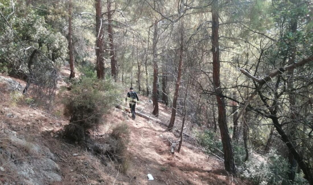 MUĞLA (AA) – Muğla'nın Fethiye ilçesinde, dağda yürüyüş yaptığı sırada