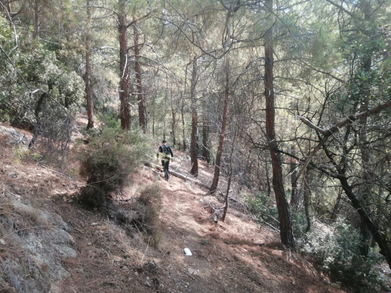 MUĞLA (AA) – Muğla'nın Fethiye ilçesinde, dağda yürüyüş yaptığı sırada