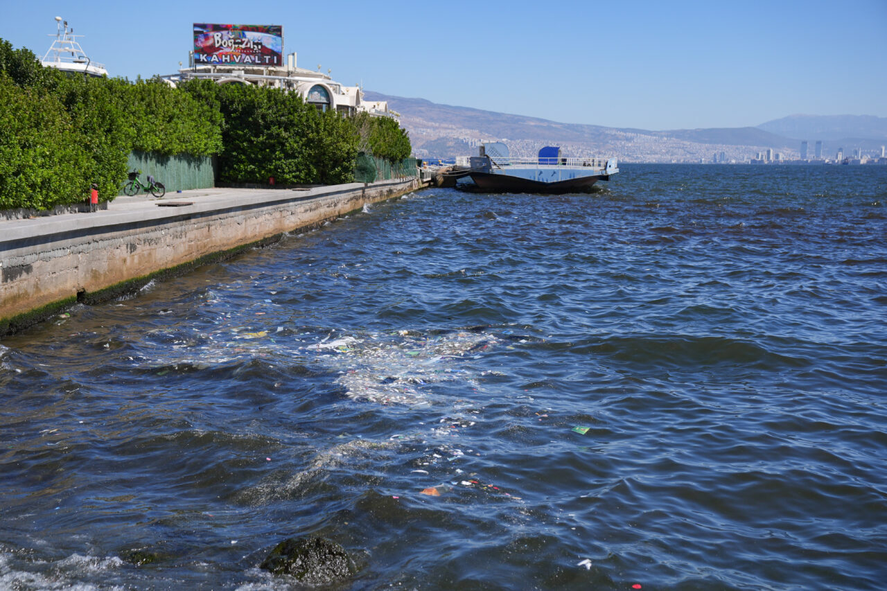 - Körfezde kıyıya vuran balıklar, belediye ekiplerince toplandı
