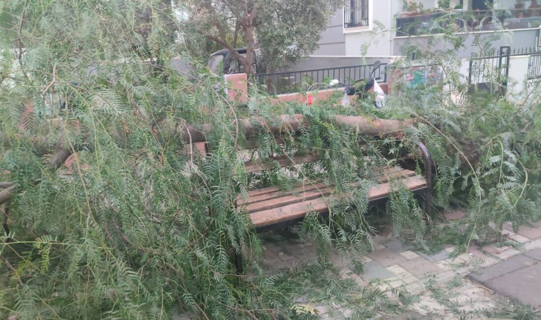 İZMİR (AA) – İzmir'in Ödemiş ilçesinde şiddetli rüzgarın etkisiyle çocuk