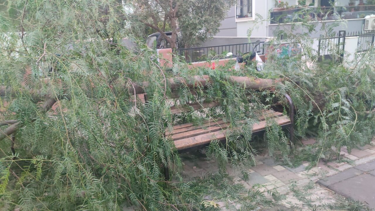 İZMİR (AA) – İzmir'in Ödemiş ilçesinde şiddetli rüzgarın etkisiyle çocuk