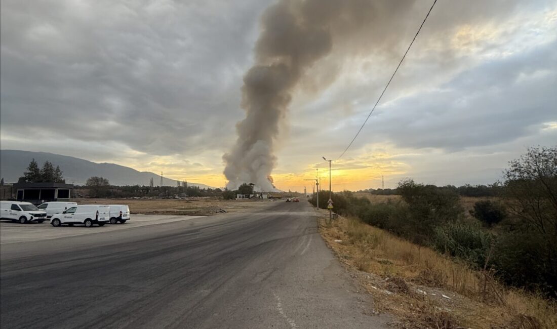 İZMİR (AA) – İzmir'in Kemalpaşa ilçesinde, katı atık toplama merkezine