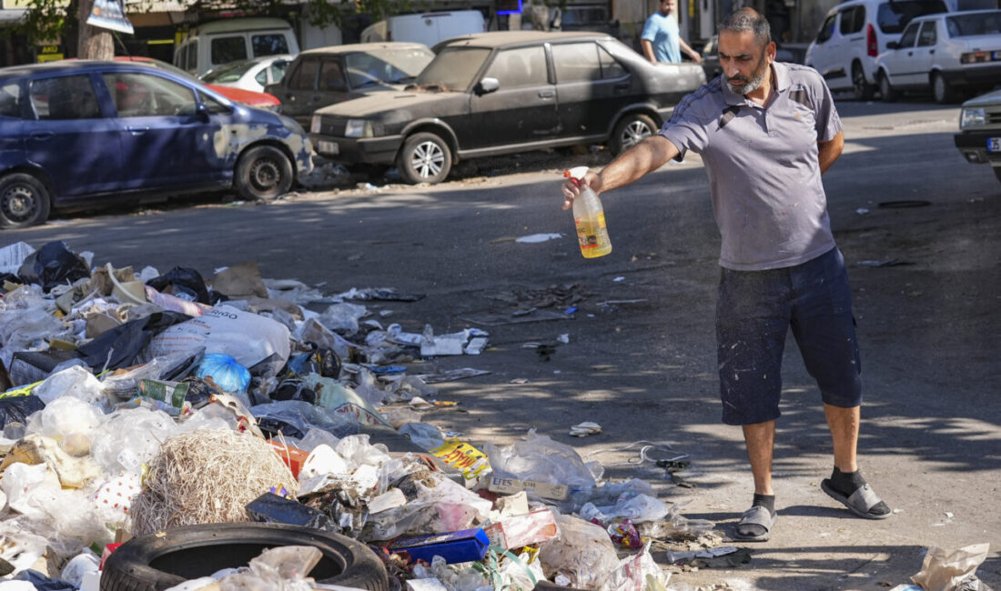 İZMİR (AA) – İzmir'in Buca ilçesinde toplanmayan çöplerde haşere çoğalmasını