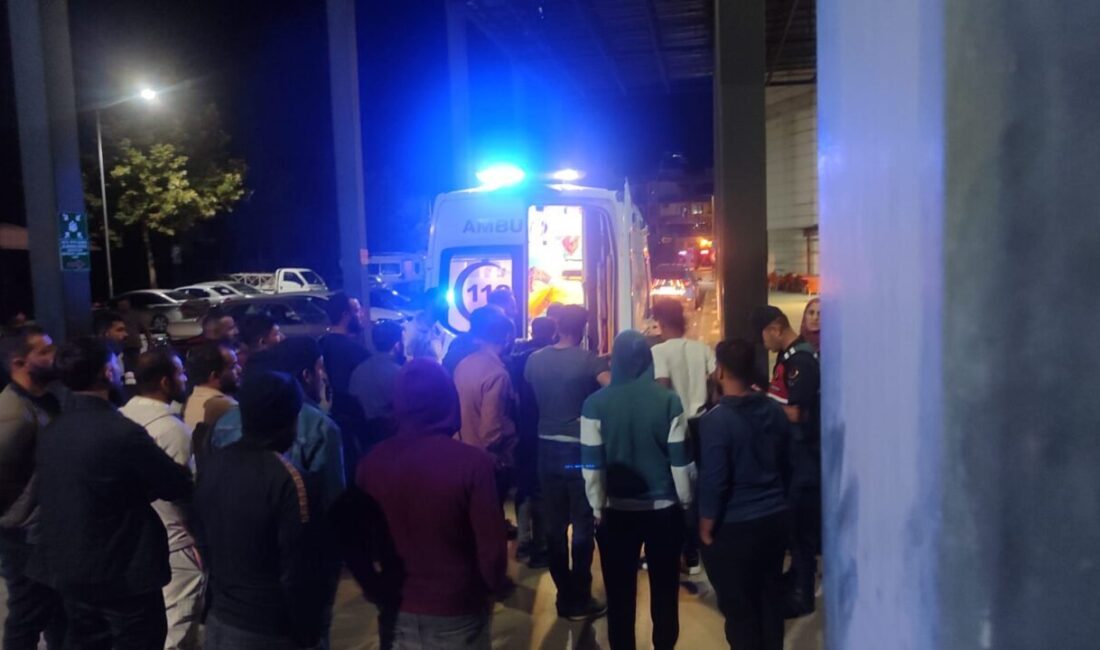 İZMİR (AA) – İzmir'in Ödemiş ilçesinde kamyonet ile otomobilin çarpışması
