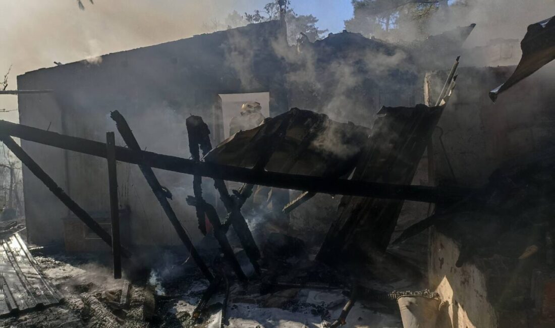 İZMİR (AA) – İzmir’in Kemalpaşa ilçesinde ormanlık alana yakın bir