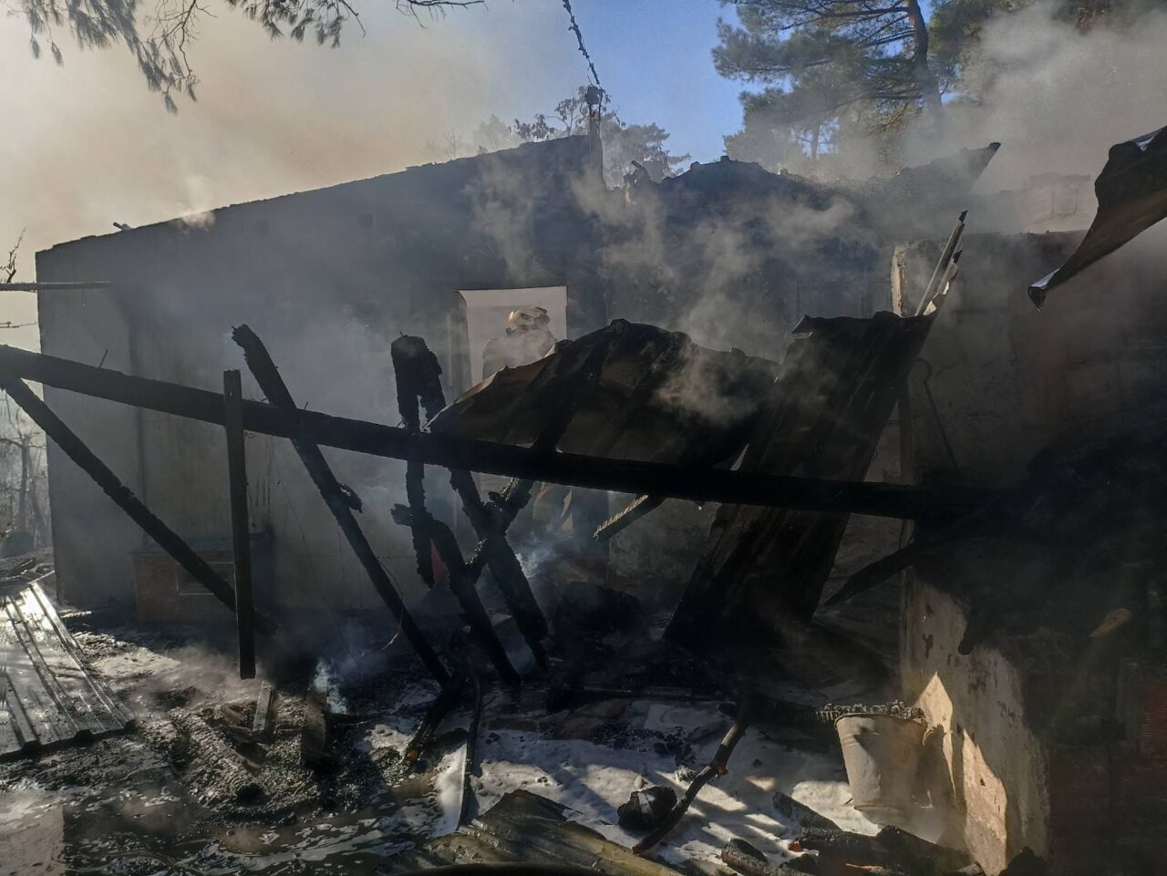 İZMİR (AA) – İzmir’in Kemalpaşa ilçesinde ormanlık alana yakın bir