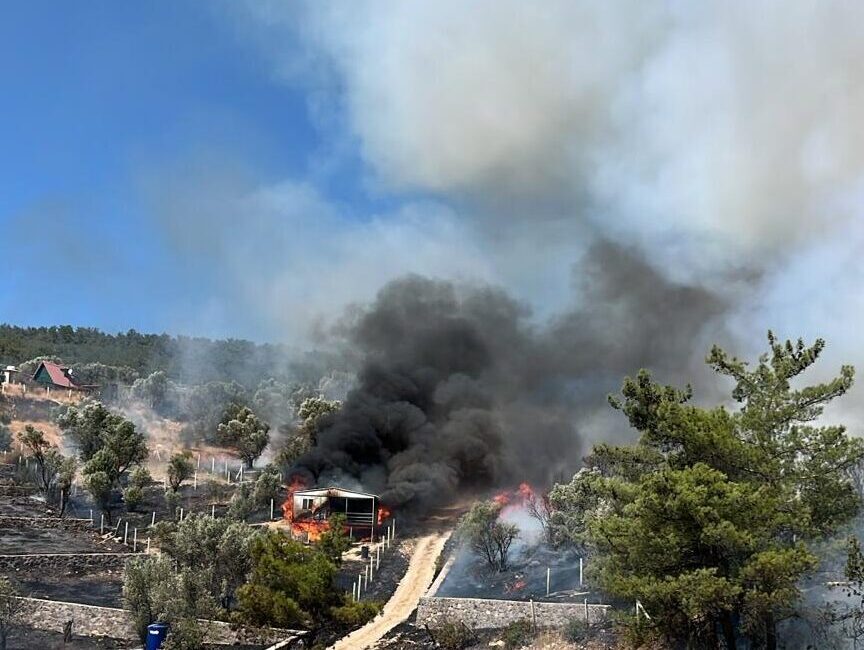 İZMİR (AA) – İzmir'in Kemalpaşa ilçesinde tarım arazisinde başlayıp ormanlık