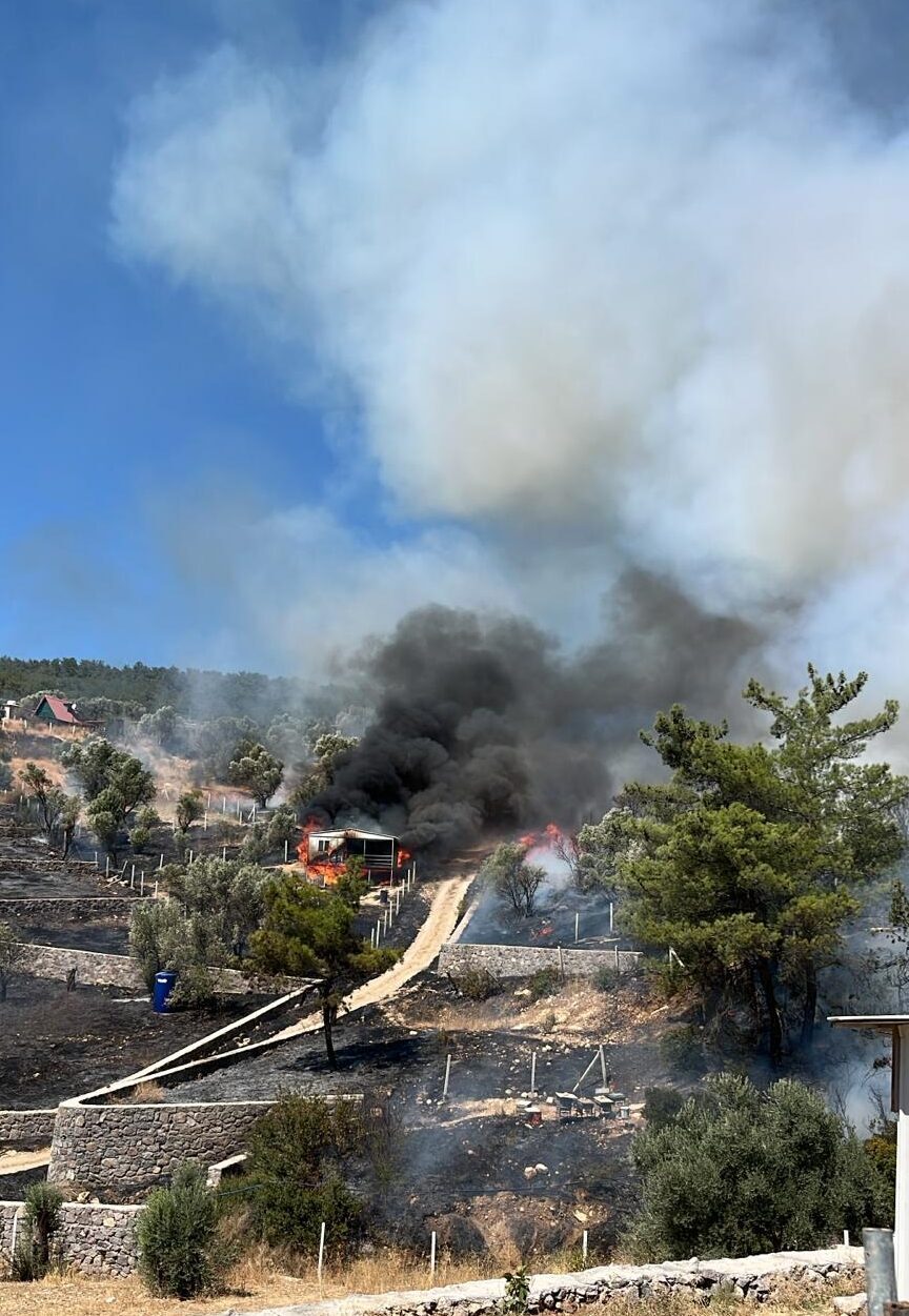 İZMİR (AA) – İzmir'in Kemalpaşa ilçesinde tarım arazisinde başlayıp ormanlık