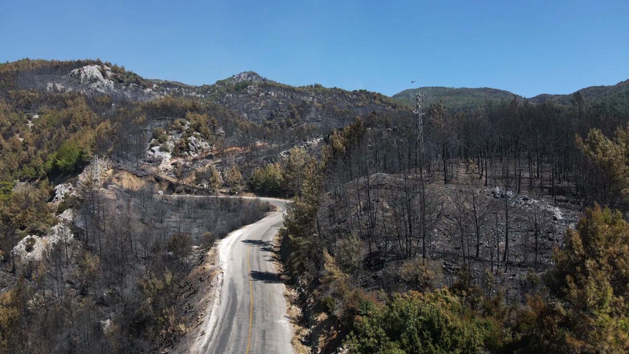 MUĞLA (AA) – Muğla’nın Köyceğiz ilçesinde orman yangınında zarar gören