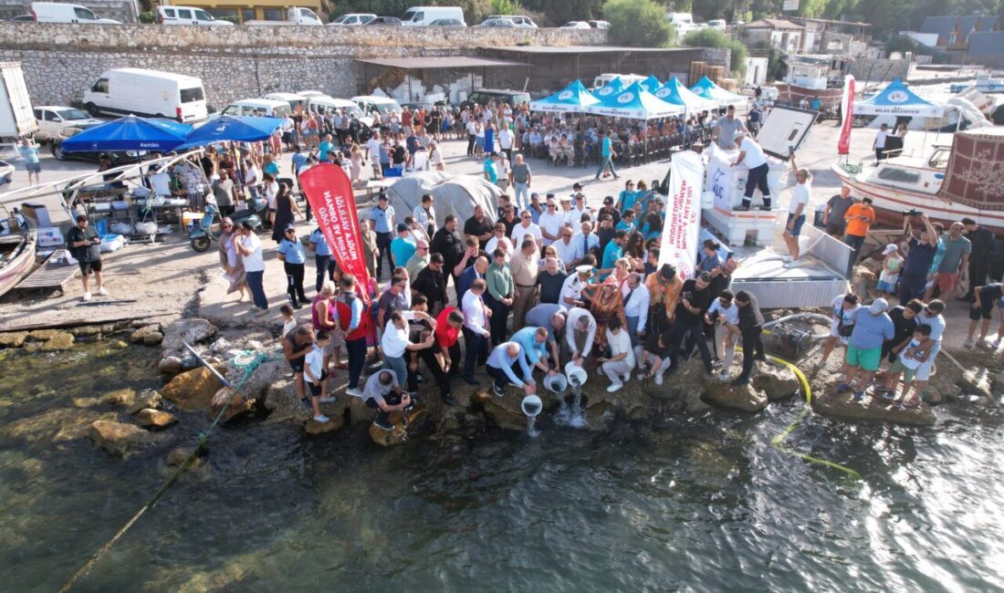 MUĞLA (AA) – Muğla'nın Milas ilçesinde, av yasağının sona ermesi