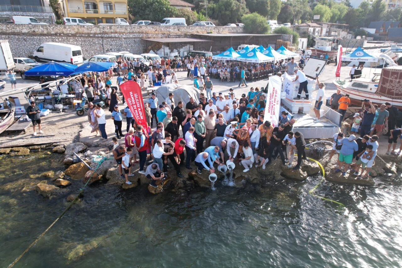 MUĞLA (AA) – Muğla'nın Milas ilçesinde, av yasağının sona ermesi