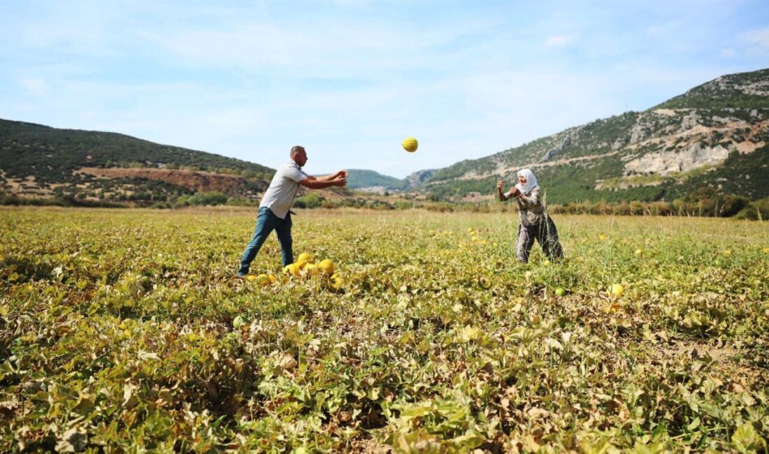 MUĞLA (AA) – Serin havası, çınar ağaçlarıyla kaplı yolları, yöresel
