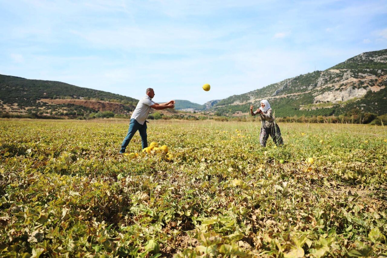 MUĞLA (AA) – Serin havası, çınar ağaçlarıyla kaplı yolları, yöresel