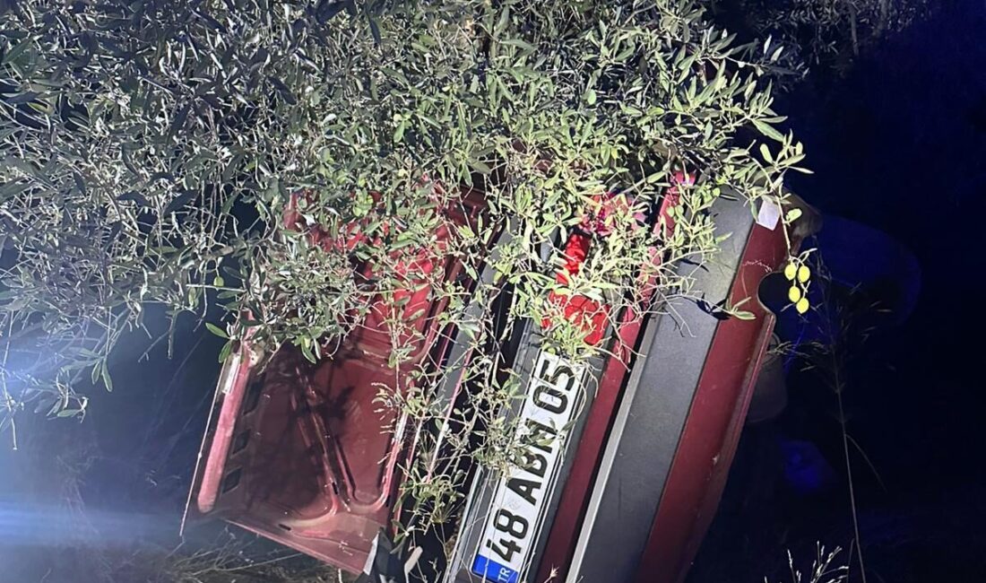 MUĞLA (AA) – Muğla'nın Milas ilçesinde otomobilin şarampole devrilerek ağaca
