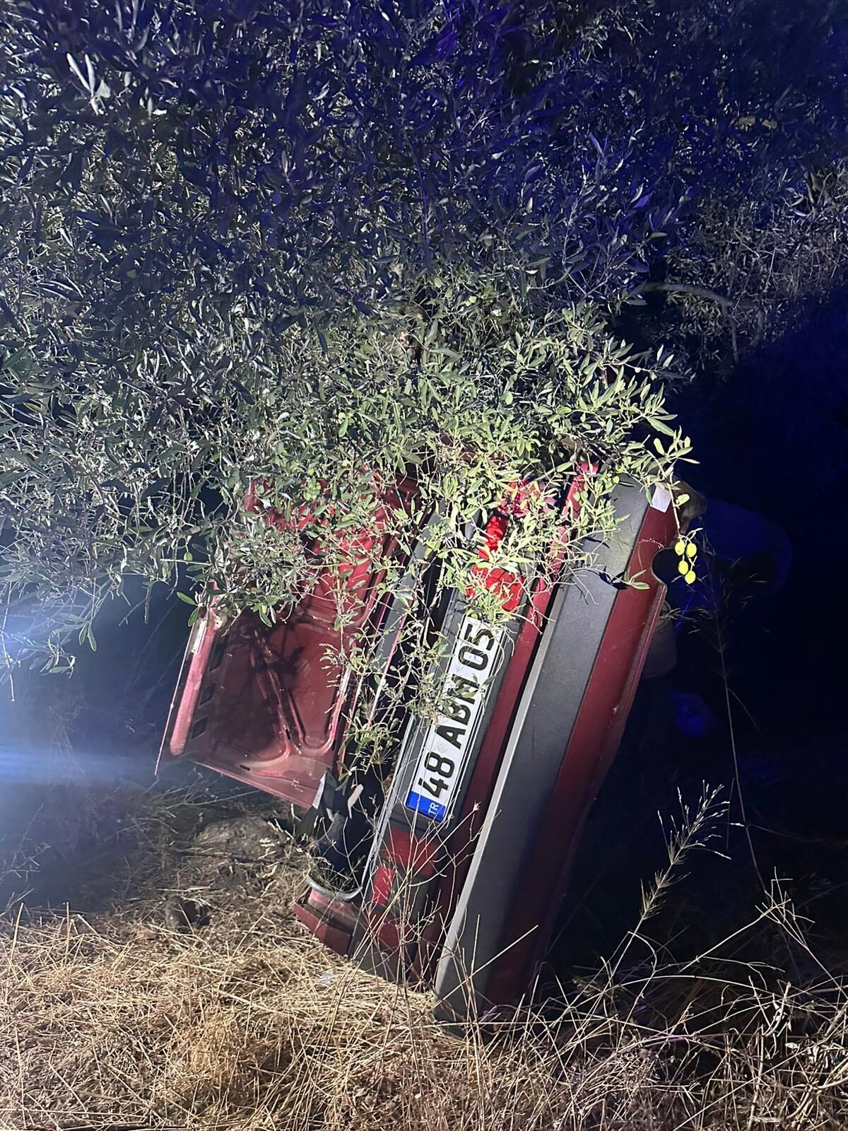 MUĞLA (AA) – Muğla'nın Milas ilçesinde otomobilin şarampole devrilerek ağaca