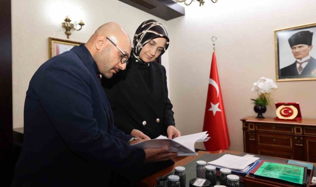 Afyonkarahisar İl Özel İdaresi tarafından plastik atıklardan asfalt üretimi yapılması