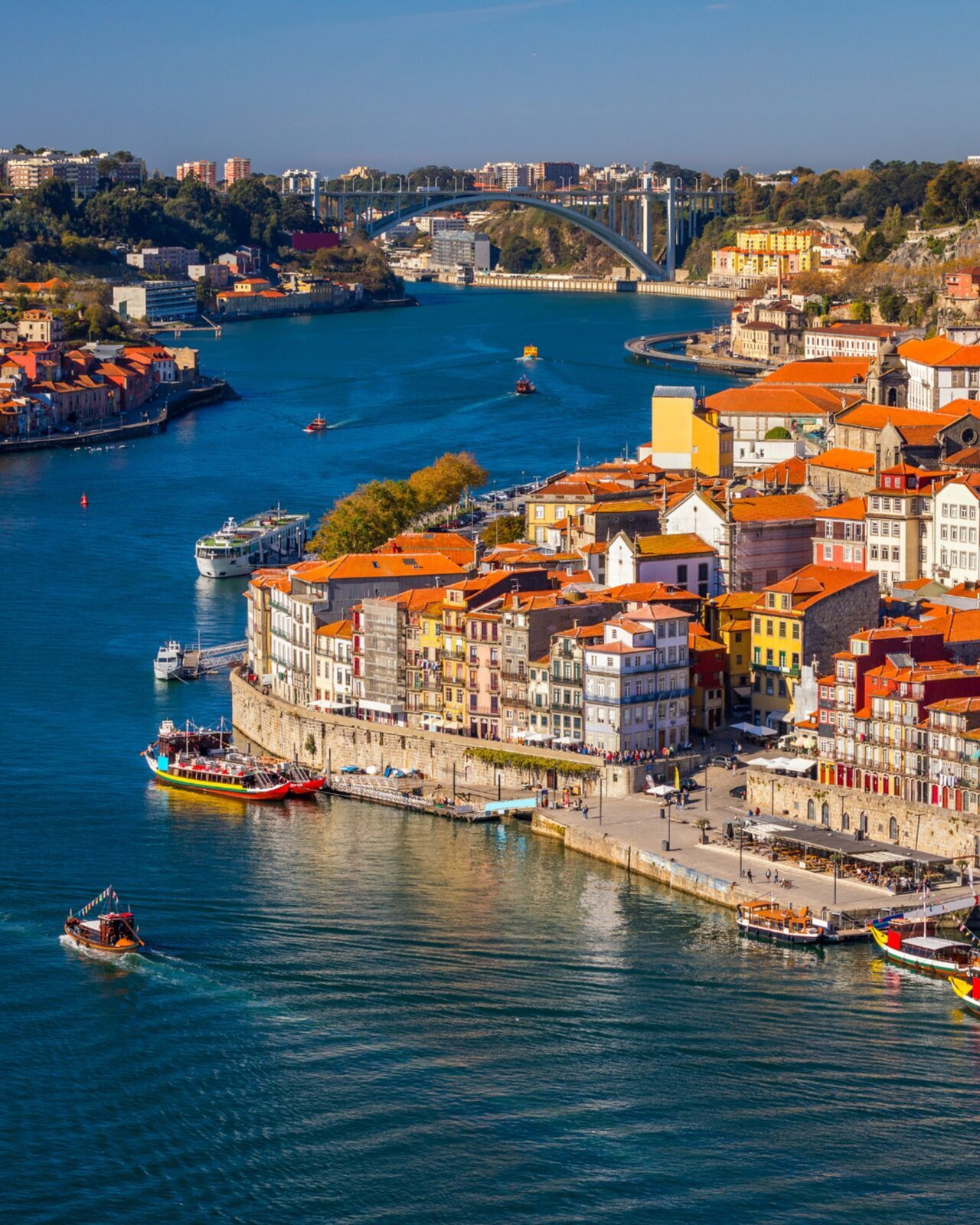 İSTANBUL (AA) – Türk Hava Yolları ve Lufthansa'nın ortak kuruluşu