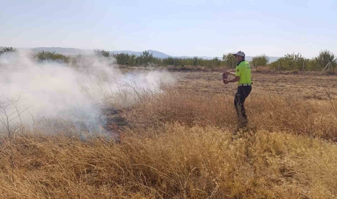 Afyonkarahisar’da devriye gezen polis ekipleri tarlada çıkan yangına müdahale ederek