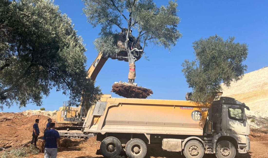 - Muhtarlar Danışma Kurulu Sözcüsü ve Karacaağaç Muhtarı Dursun Uysal:
-