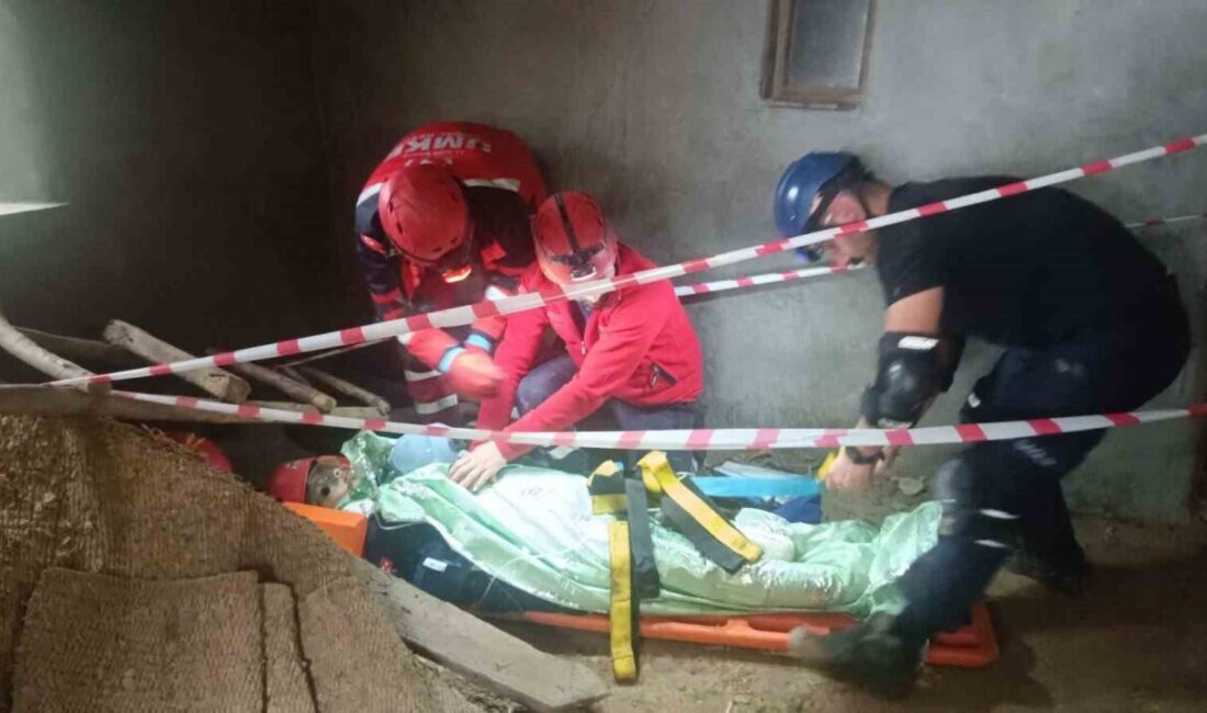 Bilecik’te 6,2 şiddetindeki yaşanabilecek bir depremde 5 evin yıkıldığı, 3