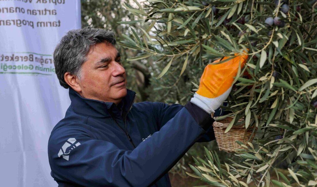 - Cargill Gıda Türkiye, Orta Doğu ve Afrika Yönetim Kurulu