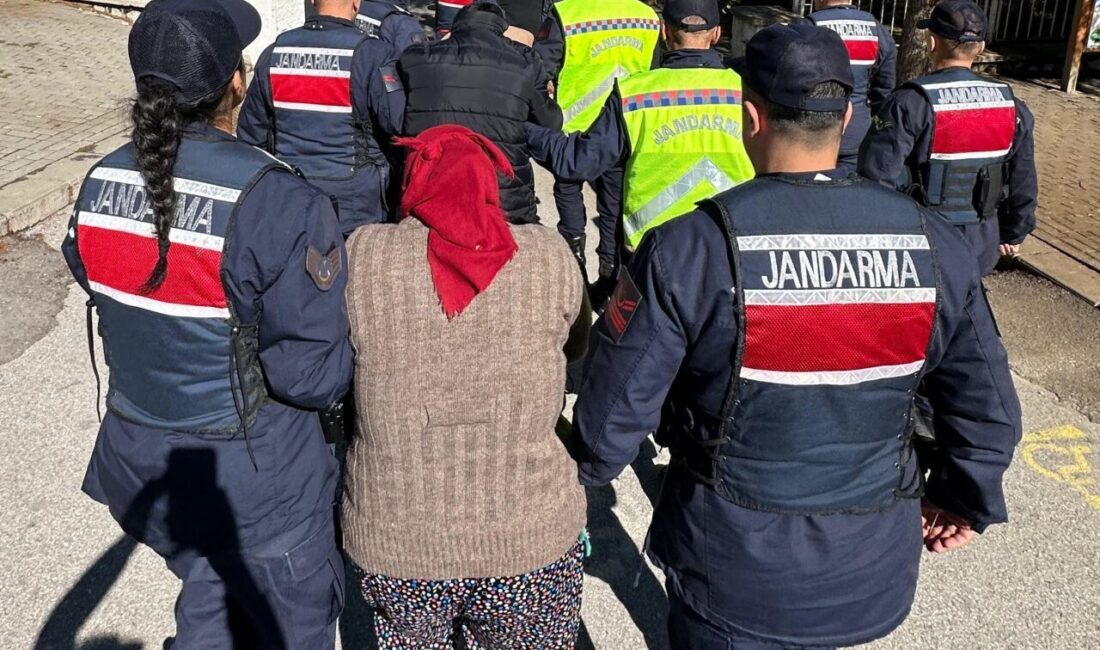 - Zanlıların yakalanmamak için hırsızlık gerçekleştirecekleri yerlerde gündüzleri çobanlık yaptıkları