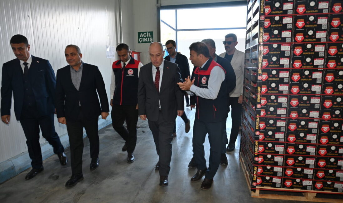DENİZLİ (AA) – Türkiye'nin nar üretiminde önde gelen şehirleri arasında