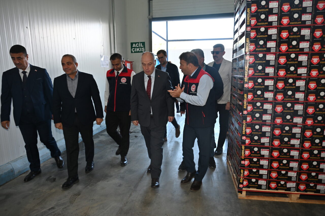 DENİZLİ (AA) – Türkiye'nin nar üretiminde önde gelen şehirleri arasında