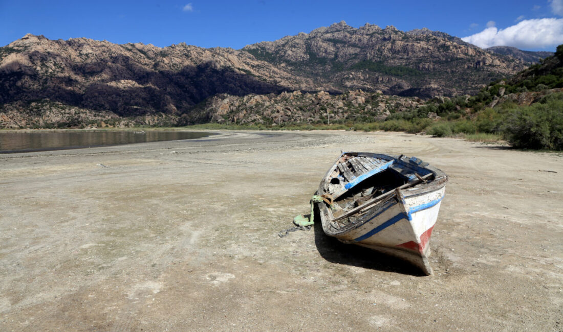 - Muğla'nın Milas ilçesinde 261 kuş, 22 sürüngen ve 19