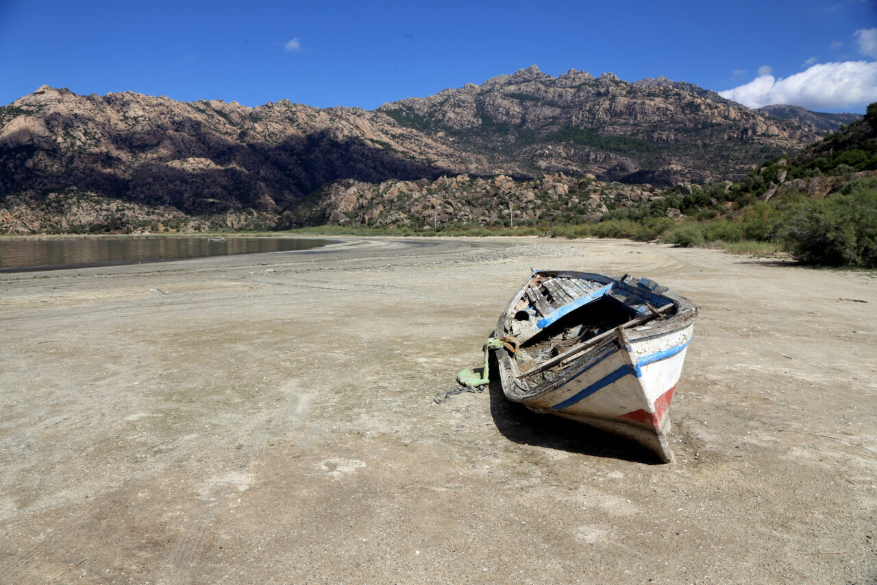 - Muğla'nın Milas ilçesinde 261 kuş, 22 sürüngen ve 19