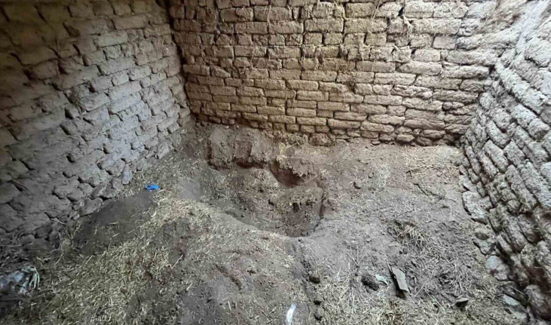 Eskişehir’de kardeşi tarafından öldürüldükten sonra gömüldüğü ahırdan 14 yıl sonra
