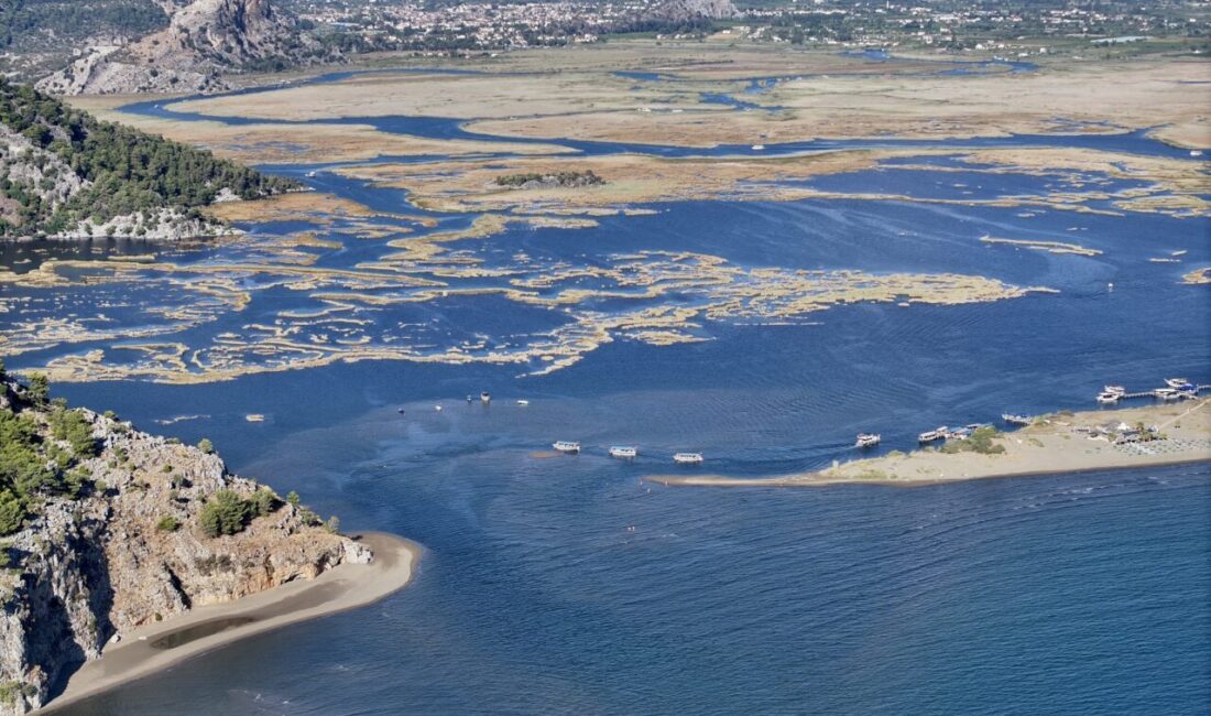 - Turizmci Ali Mürşit Yağmur:
- "Temmuz - ağustos aylarında tesislerde