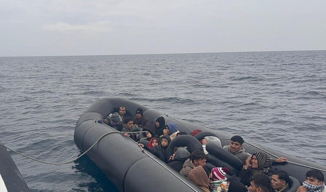 - Göçmen kaçakçılığı iddiasıyla 1 şüpheli gözaltına alındı