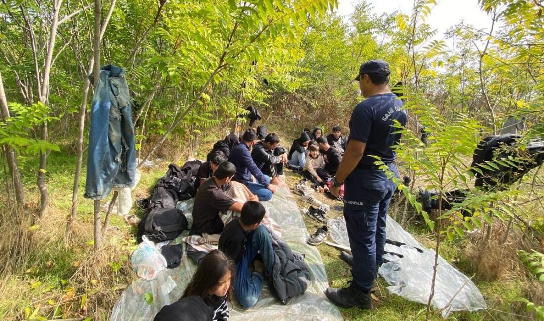 İZMİR (AA) – İzmir'de yasa dışı yollardan yurt dışına geçmeye