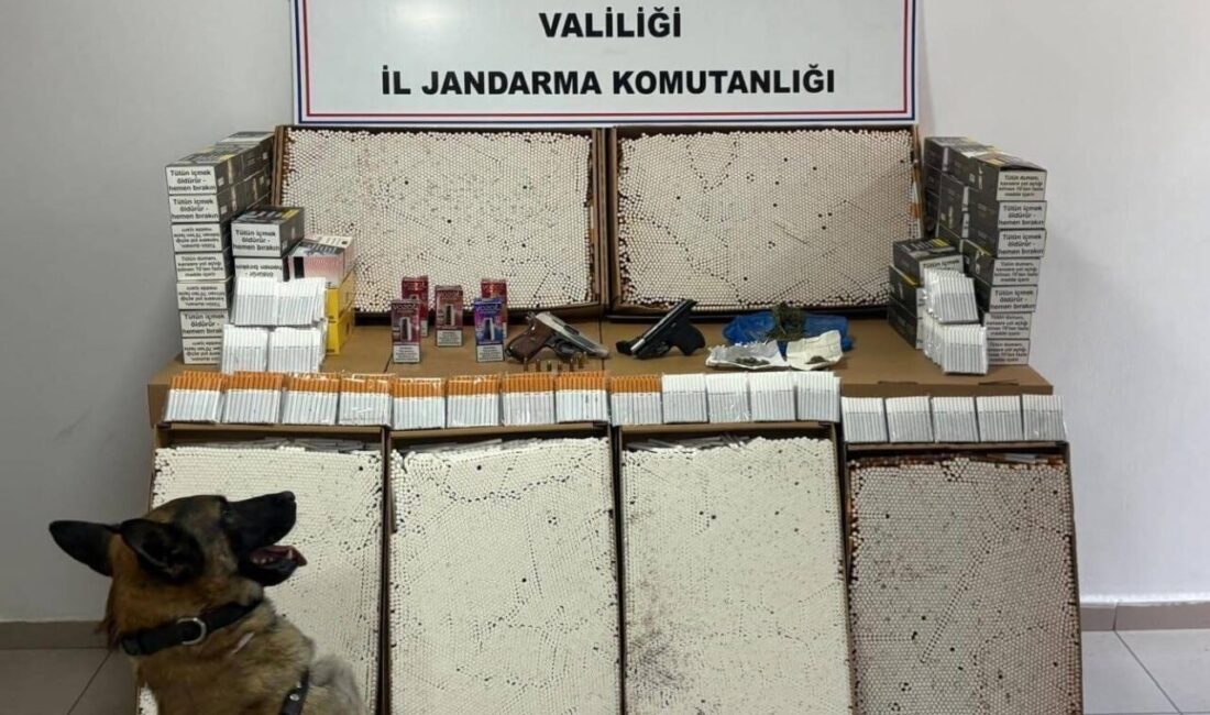 Afyonkarahisar’da jandarma tarafından iki farklı adrese yapılan baskında 18 gram