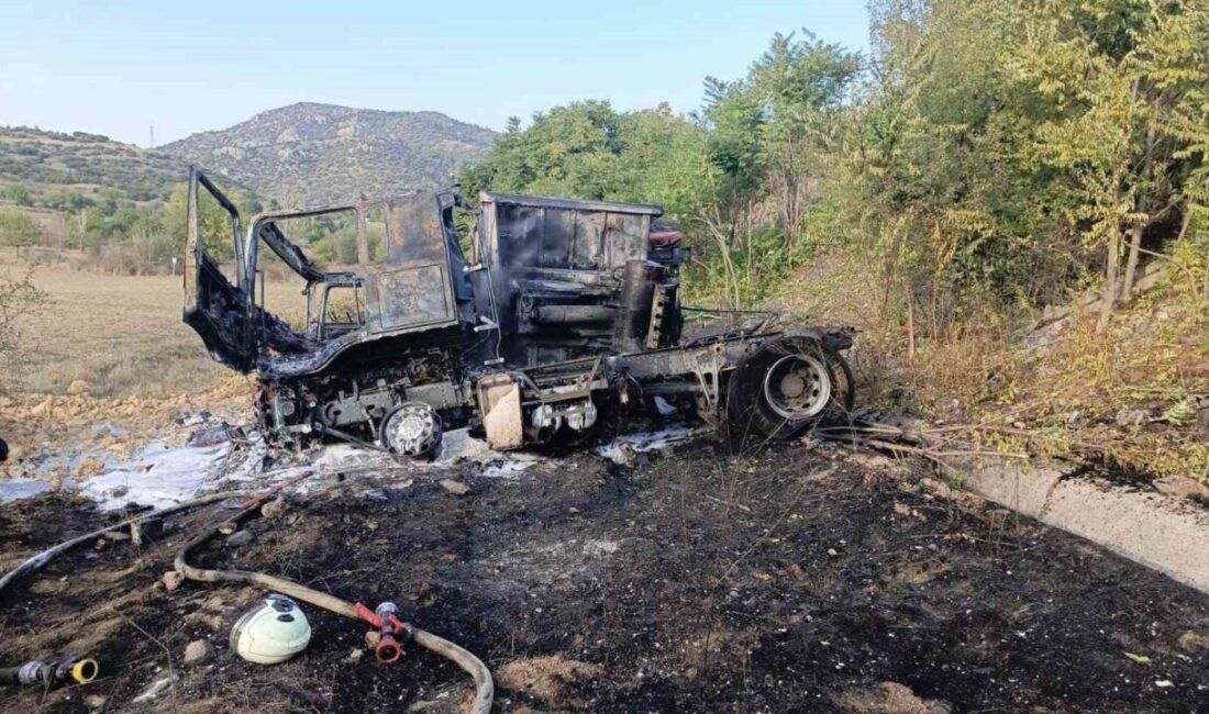 Bilecik’te seyir halinde kontrolden çıkan tır tarlaya uçarak takla atarken,