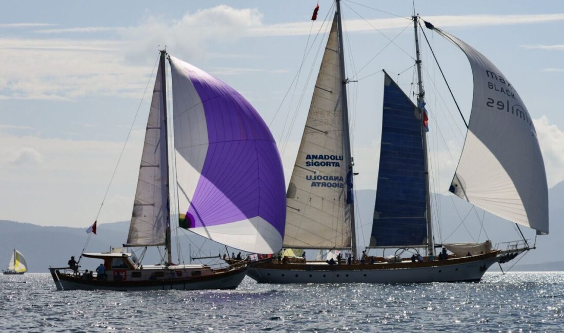 MUĞLA (AA) – Maximiles Black The Bodrum Cup Yelken Yarışları,