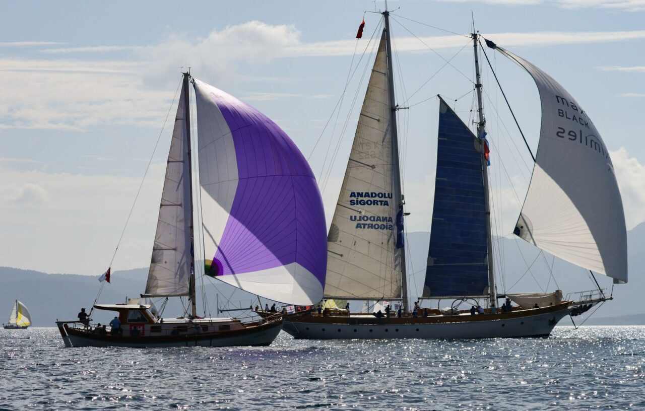 MUĞLA (AA) – Maximiles Black The Bodrum Cup Yelken Yarışları,