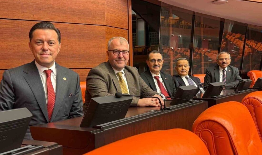 AK Parti Eskişehir Milletvekili Nebi Hatipoğlu, Türkiye Büyük Millet Meclisi