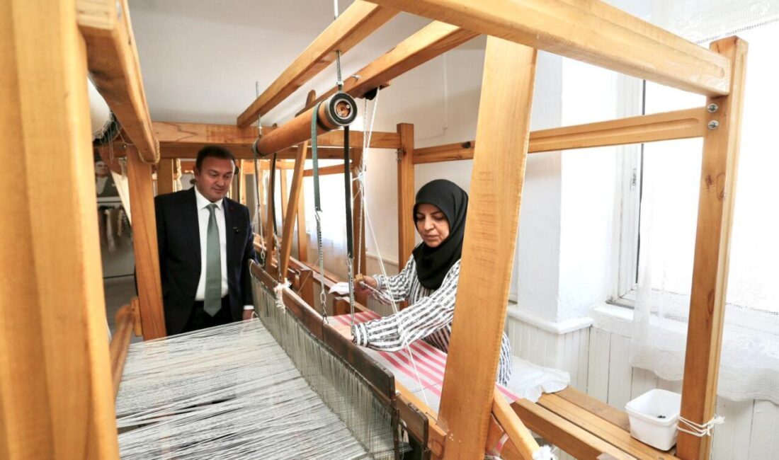 MUĞLA (AA) – Muğla'da, İl Tarım ve Orman Müdürlüğü, 15