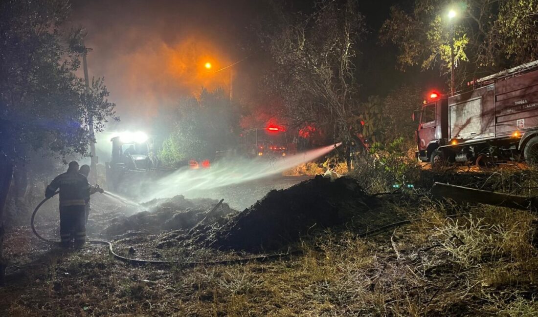 MUĞLA (AA) – Muğla'nın Seydikemer ilçesinde ahırda çıkan yangında 6