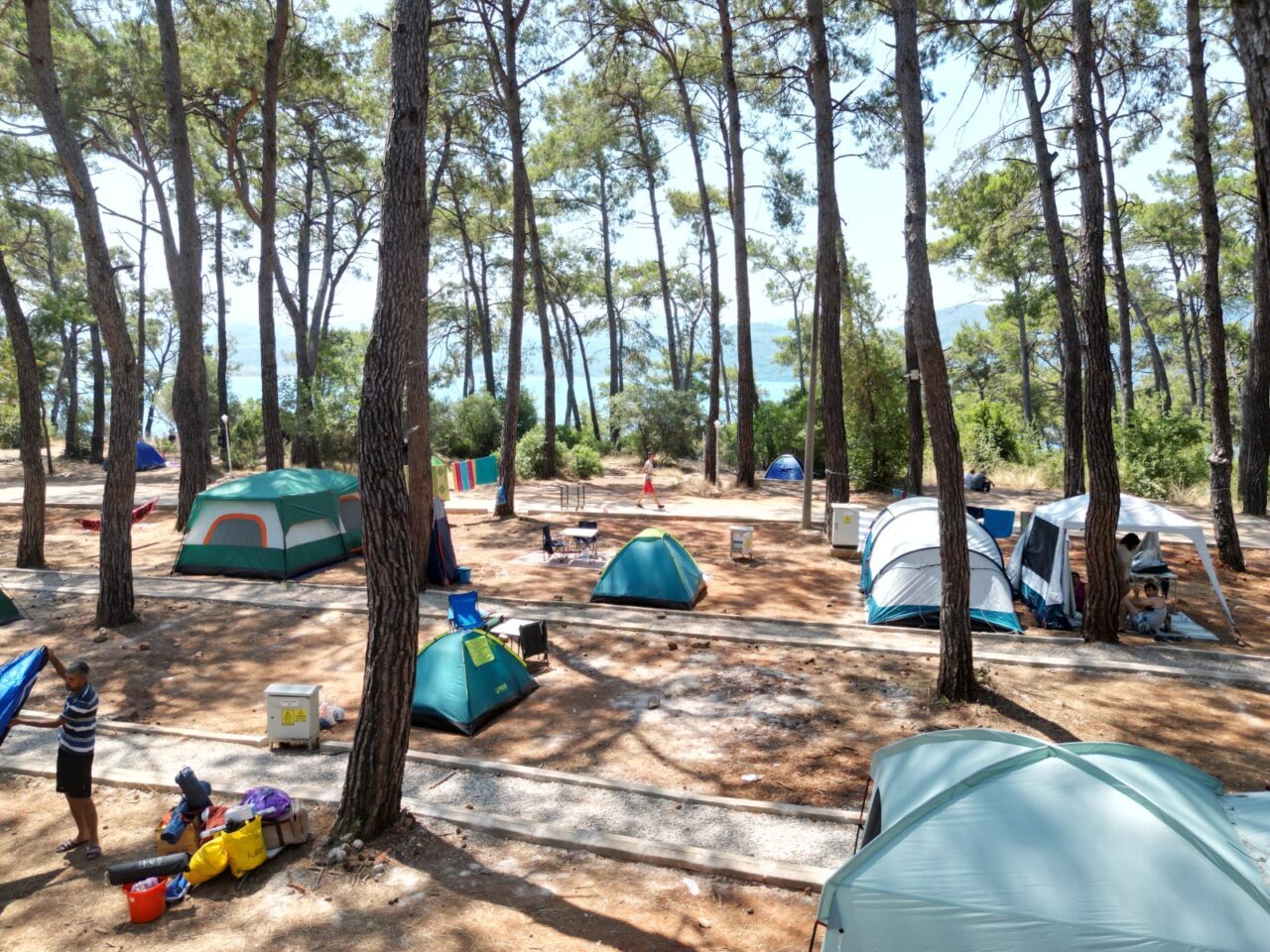 MUĞLA (AA) – Muğla'nın Ula ilçesindeki Akyaka Gökova Konaklamalı Orman