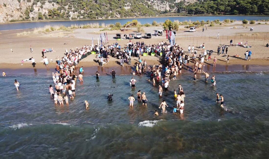 MUĞLA (AA) – Muğla'nın Ortaca ilçesinde tedavileri tamamlanan 10 deniz